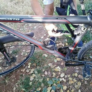 2013 Ideal Bikes Megisto Silver, gray or bare metal