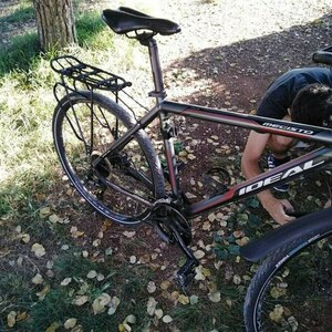 2013 Ideal Bikes Megisto Silver, gray or bare metal