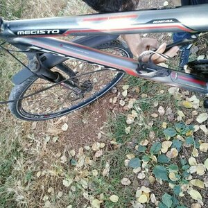 2013 Ideal Bikes Megisto Silver, gray or bare metal