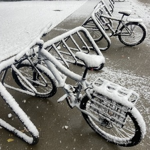 2022 REI Co-op DRT 1.1 Mountain Bike Silver, gray or bare metal