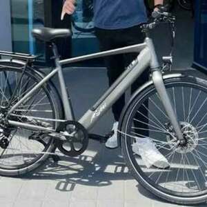 2024 Ryder (Revom) Diamond Frame Silver, gray or bare metal