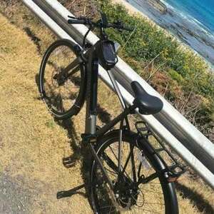 2024 Ryder (Revom) Diamond Frame Silver, gray or bare metal