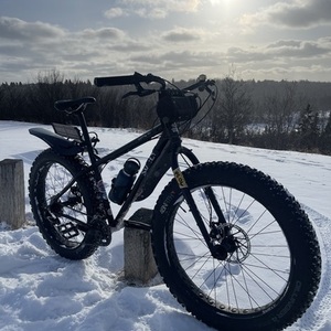 2016 Surly Ice Cream Truck OPS Black