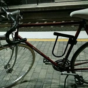 Raleigh Red