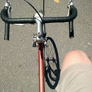 Raleigh Red