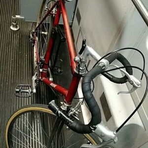 Raleigh Red
