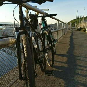 2019 Trek DS 2 Black