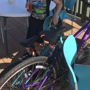 2019 Specialized Sirrus Purple