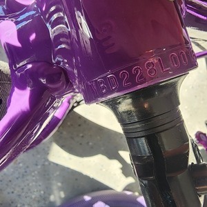 2025 SE Bikes Maniac Flyer Red