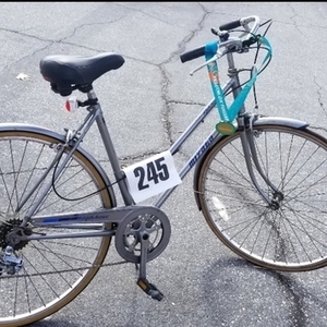 Miyata Fifth Avenue Silver, gray or bare metal