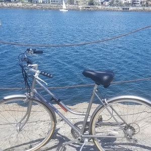 Miyata Fifth Avenue Silver, gray or bare metal