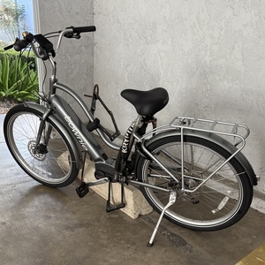 Electra Step-Thru Silver, gray or bare metal