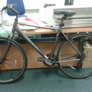 Raleigh Silver or Gray