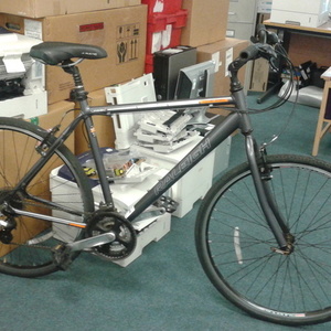 Raleigh Silver or Gray