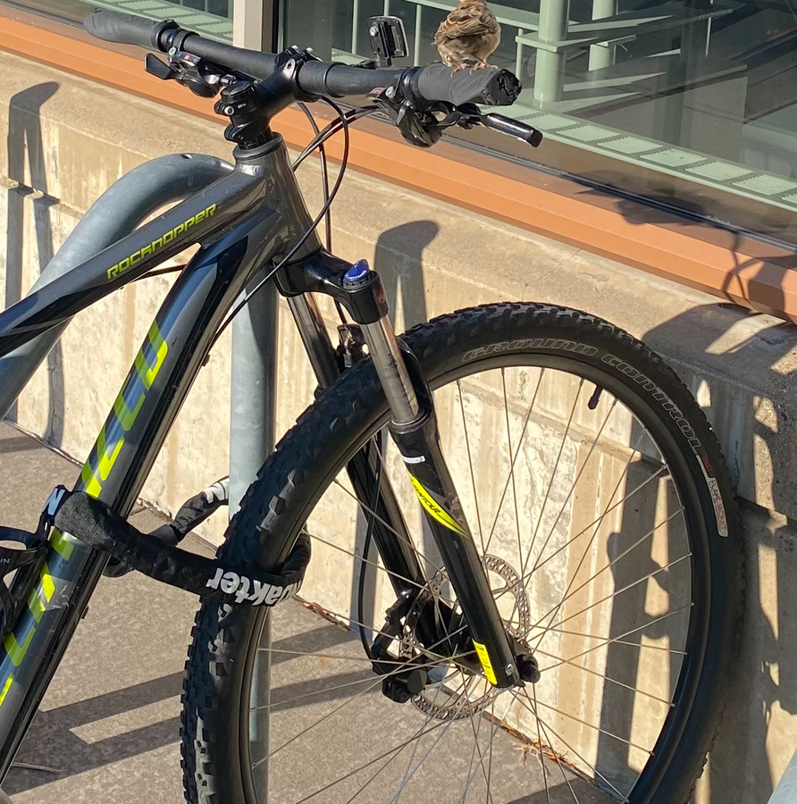 Bike photo