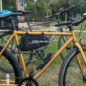 Fyxation Yellow or Gold