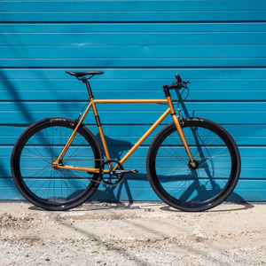 Fyxation Yellow or Gold