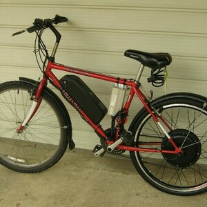 Bianchi Timber Wolf Red