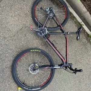 2014 Specialized Rockhopper 29 Black and Yellow or Gold