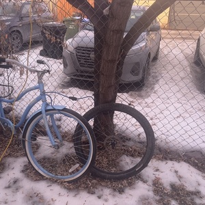 Specialized Rockhopper Women's Blue and Purple