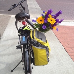 1993 Norco Bikes Cherokee Purple