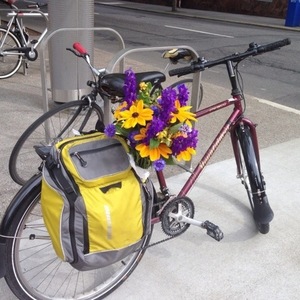 1993 Norco Bikes Cherokee Purple