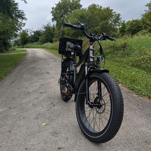 2021 Rad Power Bikes Rad Rover 6 Plus Black