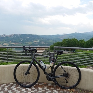 2022 Trek Domane AL 5 Disc Silver, gray or bare metal