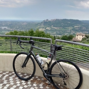 2022 Trek Domane AL 5 Disc Silver, gray or bare metal