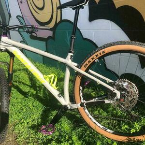 2020 Santa Cruz Chameleon White