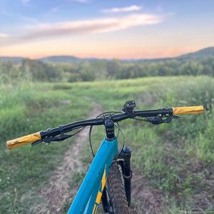 Trek Roscoe 7 Blue, Red, and Yellow or Gold