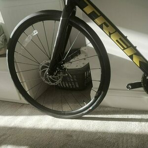 2022 Trek Domane Black and Yellow or Gold