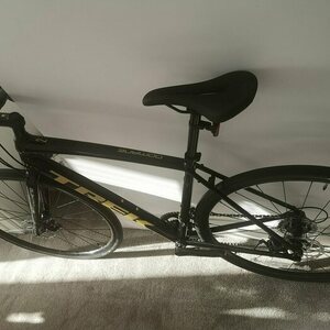 2022 Trek Domane Black and Yellow or Gold