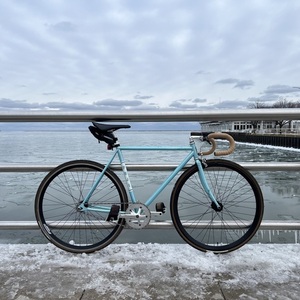 2010 Fuji Feather Blue