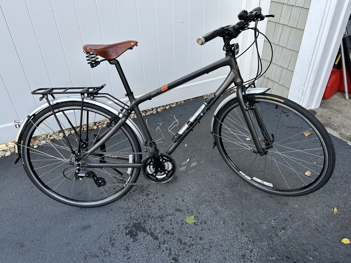 2008 Giant Tran Send DX