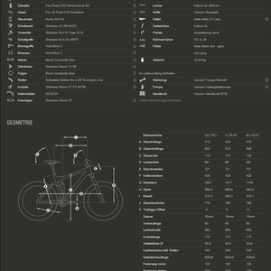2013 Canyon bicycles Nerve AL 7.0 W White