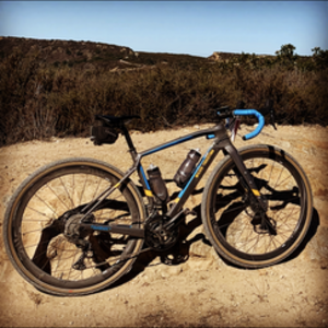 2020 Wilier Jena Blue and Yellow or Gold