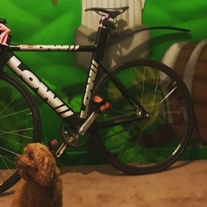 2015 LOW// MKII Black and Pink