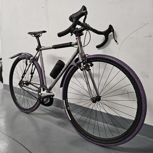 2023 Seaboard FG01 Silver, gray or bare metal and Purple