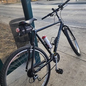 Cannondale M300 LE Black