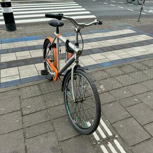 VanMoof Albelli Silver, gray or bare metal