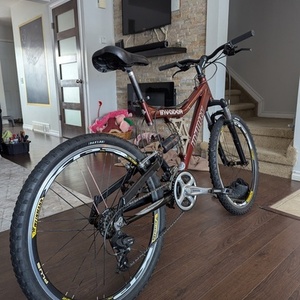 Infinity Cycle Works Invader Red