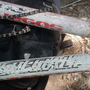 Specialized Vegas White