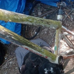 Specialized Vegas White