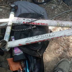 Specialized Vegas White