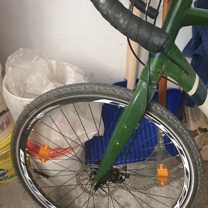 2020 Adriatica Green