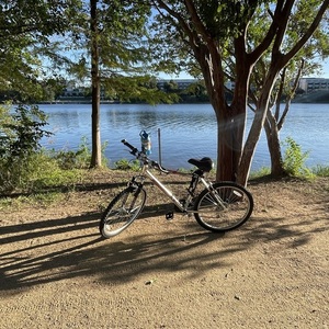Huffy Red Rock Aluminum Silver, gray or bare metal and Red