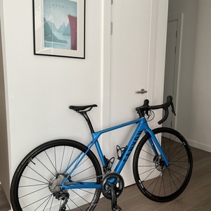 2019 Canyon bicycles Endurace CF SL Disc 8.0 Blue