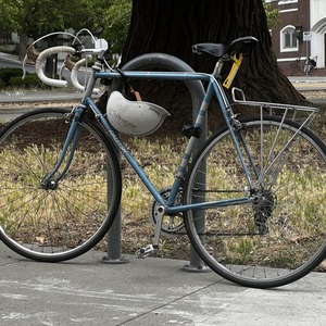1979 Raleigh Professional Blue