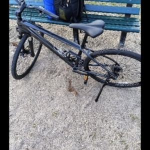 2023 Trek Trek Dual sport 22 Silver, gray or bare metal